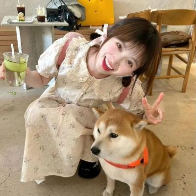恶魔犬