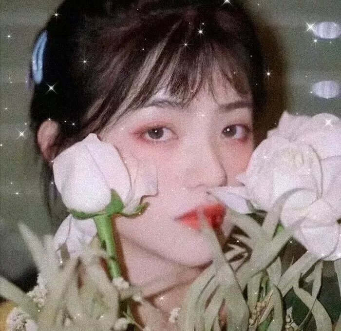 香车绮梦